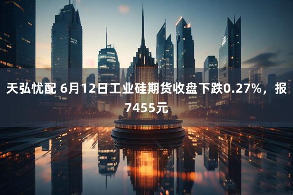 天弘忧配 6月12日工业硅期货收盘下跌0.27%，报7455元