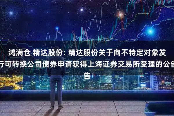 鸿满仓 精达股份: 精达股份关于向不特定对象发行可转换公司债券申请获得上海证券交易所受理的公告