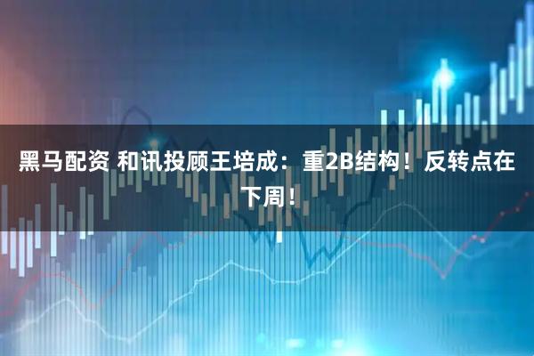 黑马配资 和讯投顾王培成：重2B结构！反转点在下周！