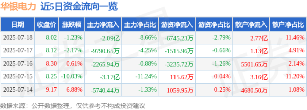 钱掌柜配资 华银电力（600744）7月18日主力资金净卖出2.09亿元