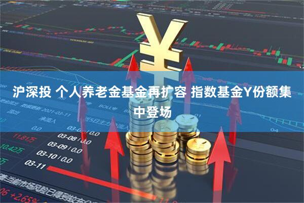 沪深投 个人养老金基金再扩容 指数基金Y份额集中登场